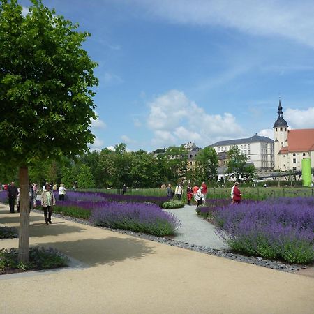 Hotel Am Park Reichenbach im Vogtland Esterno foto