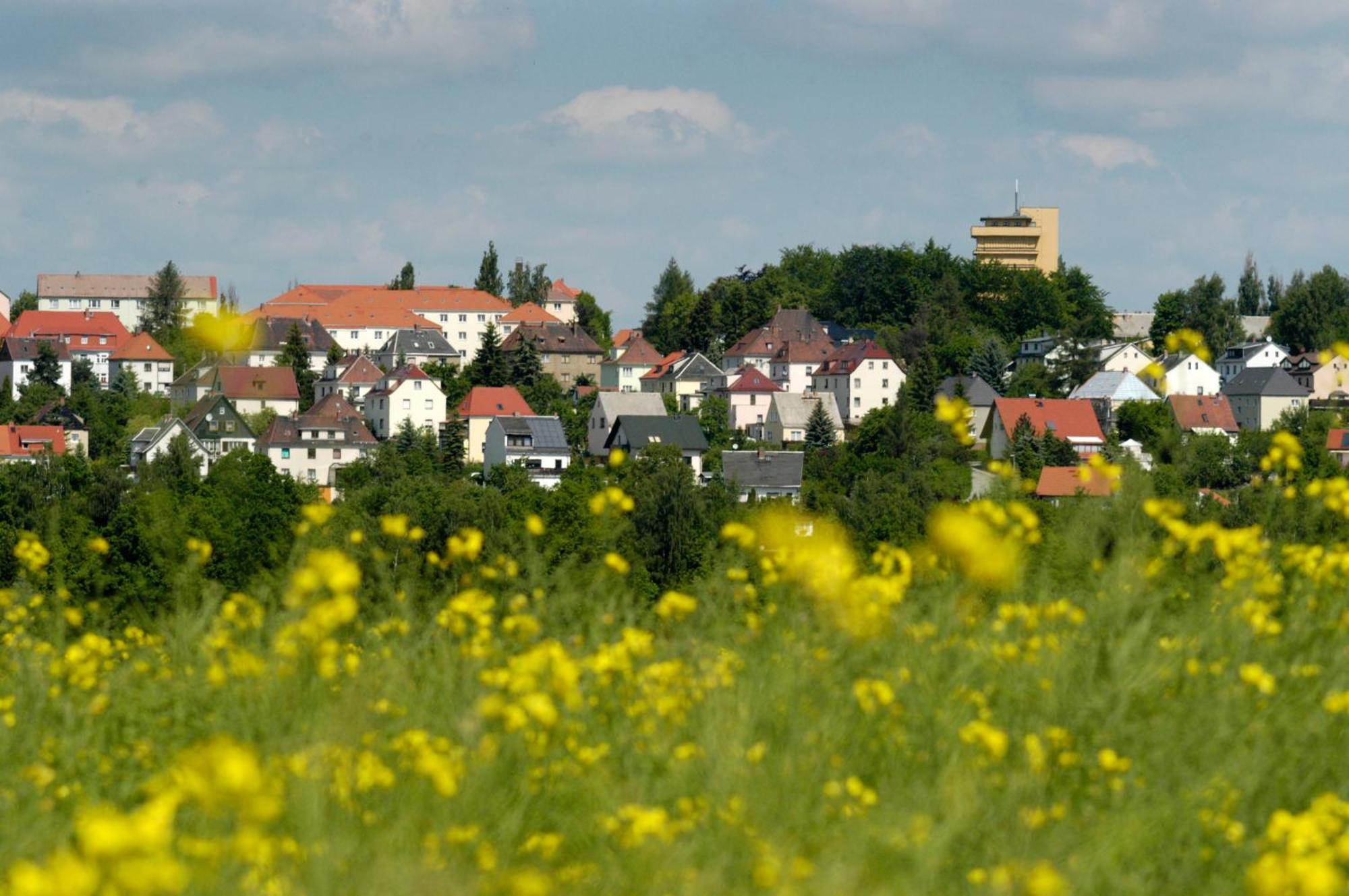 Hotel Am Park Reichenbach im Vogtland Esterno foto